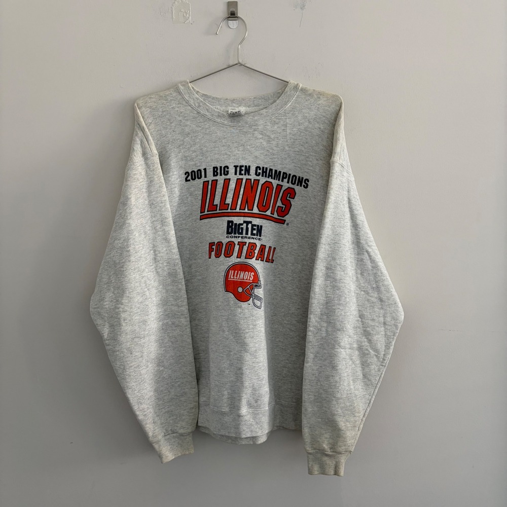 Vintage Fruit of the Loom Illinois 2001 Big Ten Champions Football Sweatshirt L